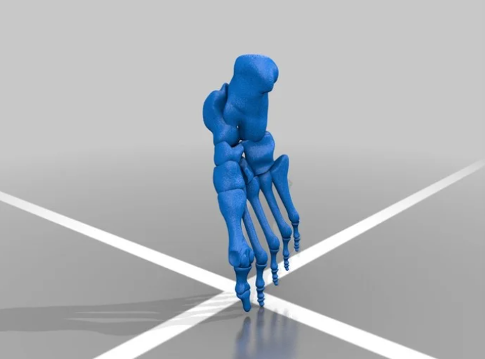 3D-модель костей стопы.png 3D-модель костей стопы.png